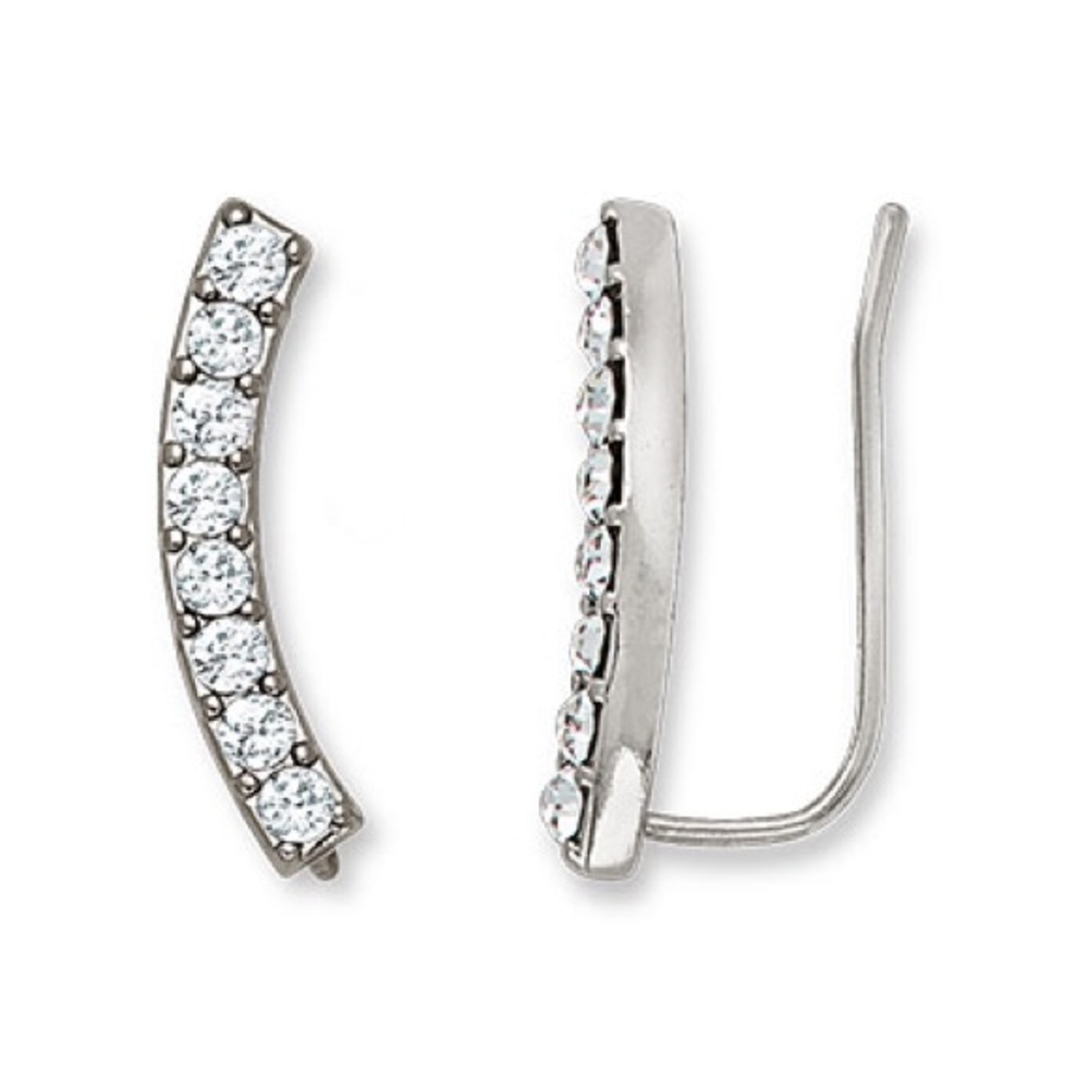 Social Climber earrings